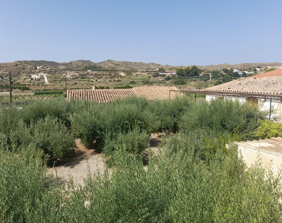 En venta 2 casas sobre finca urbana en Aljáriz, Antas,&nbsp;Almería