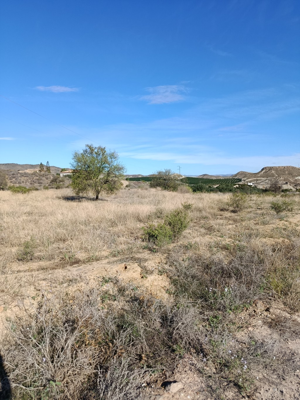 Se vende finca rústica junto al Cabezo María en Antas,&nbsp;Almería