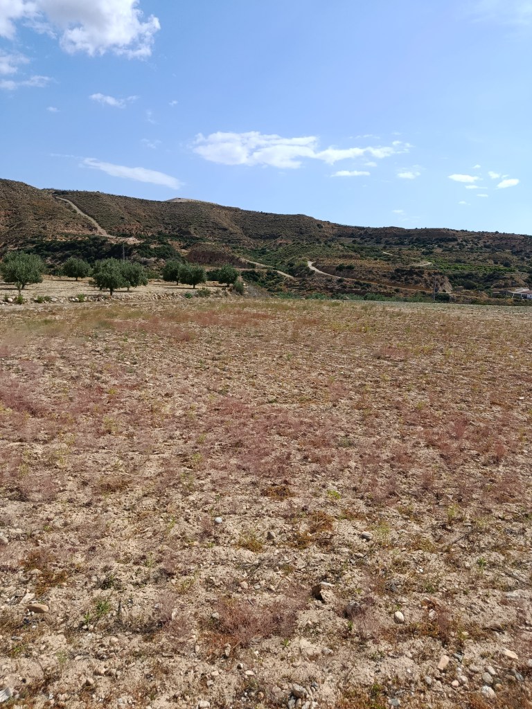Finca en venta en Antas, Almería