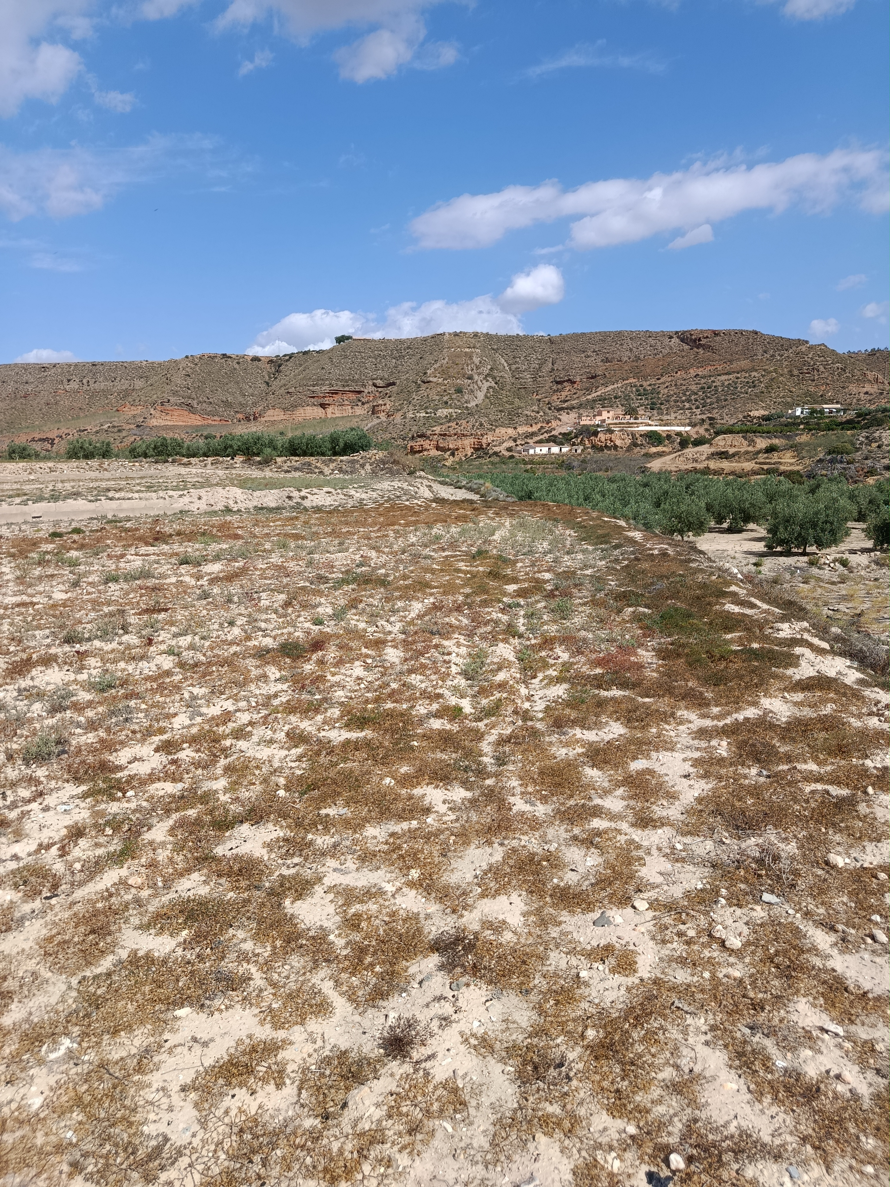 Se vende terreno en La Huerta, Antas, Almería